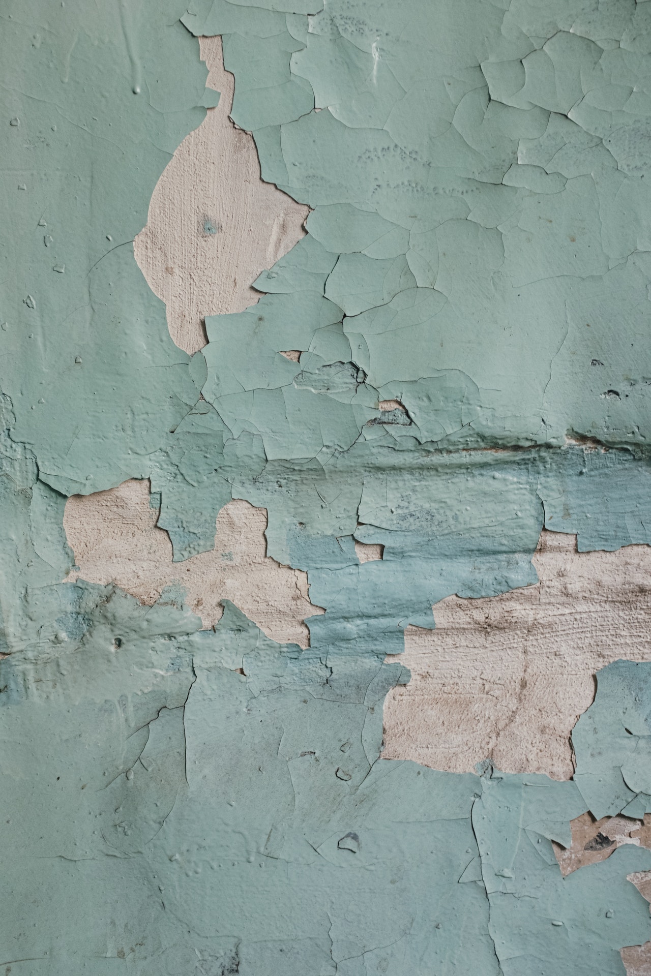 3. Mold and Mildew Problems From an Incorrect Commercial Painting Process